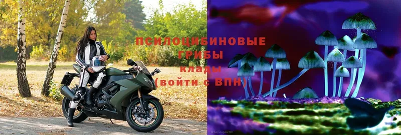 Галлюциногенные грибы MAGIC MUSHROOMS  Нижнекамск 